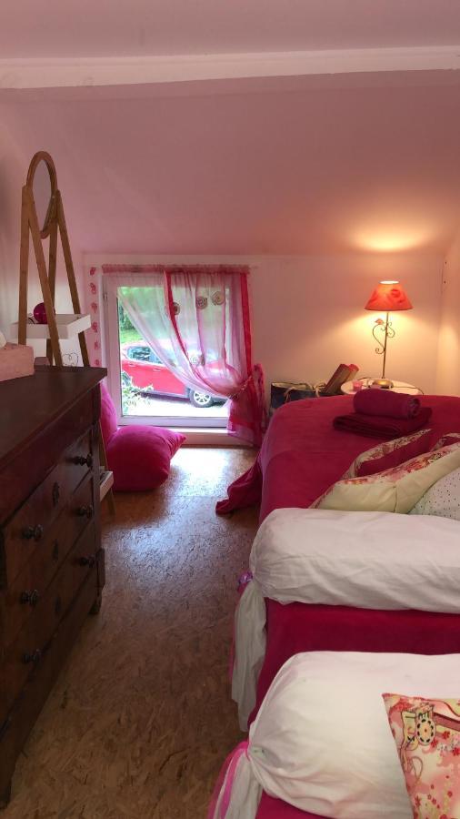 Ferienwohnung Le Loft Au-Dessus Des Pins Lacanau Exterior foto
