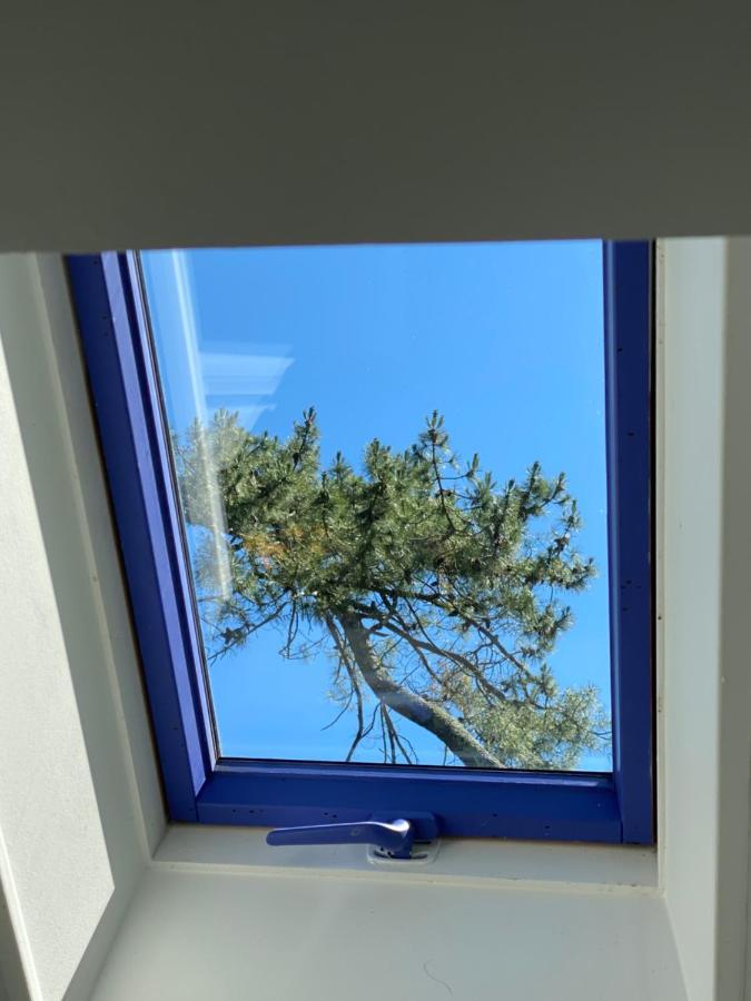 Ferienwohnung Le Loft Au-Dessus Des Pins Lacanau Exterior foto