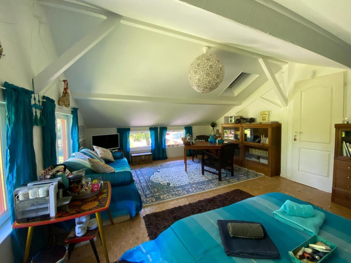 Ferienwohnung Le Loft Au-Dessus Des Pins Lacanau Exterior foto