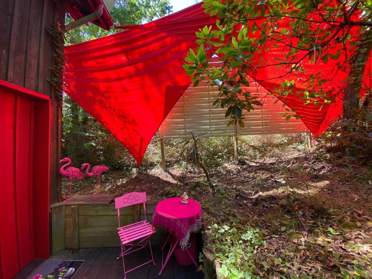 Ferienwohnung Le Loft Au-Dessus Des Pins Lacanau Exterior foto
