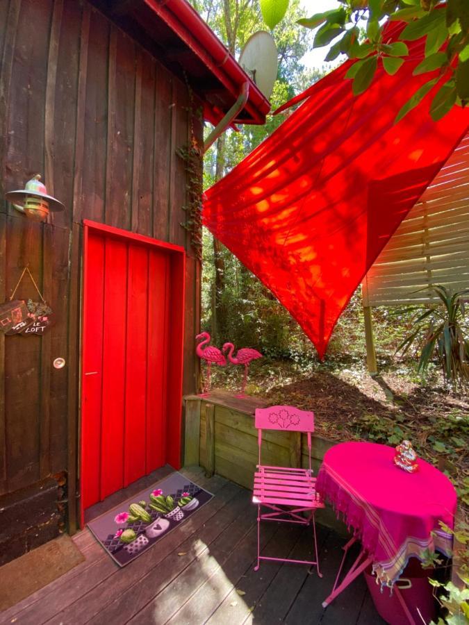 Ferienwohnung Le Loft Au-Dessus Des Pins Lacanau Exterior foto