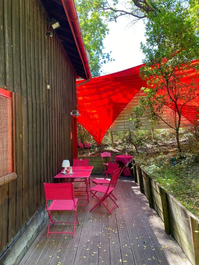 Ferienwohnung Le Loft Au-Dessus Des Pins Lacanau Exterior foto