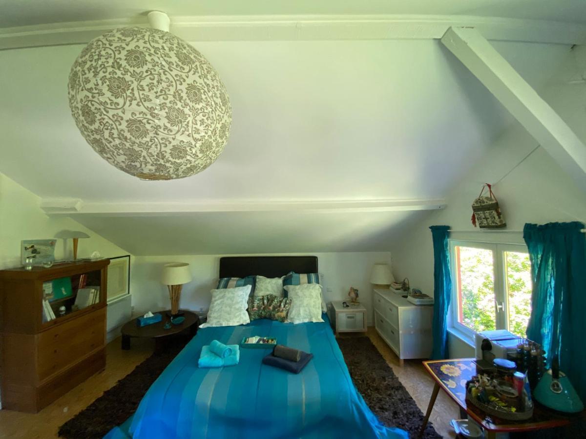 Ferienwohnung Le Loft Au-Dessus Des Pins Lacanau Exterior foto