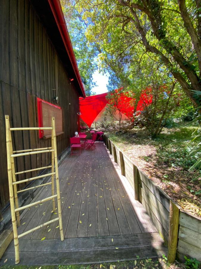 Ferienwohnung Le Loft Au-Dessus Des Pins Lacanau Exterior foto